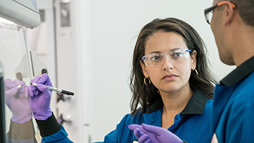 Two scientists writing on a whiteboard