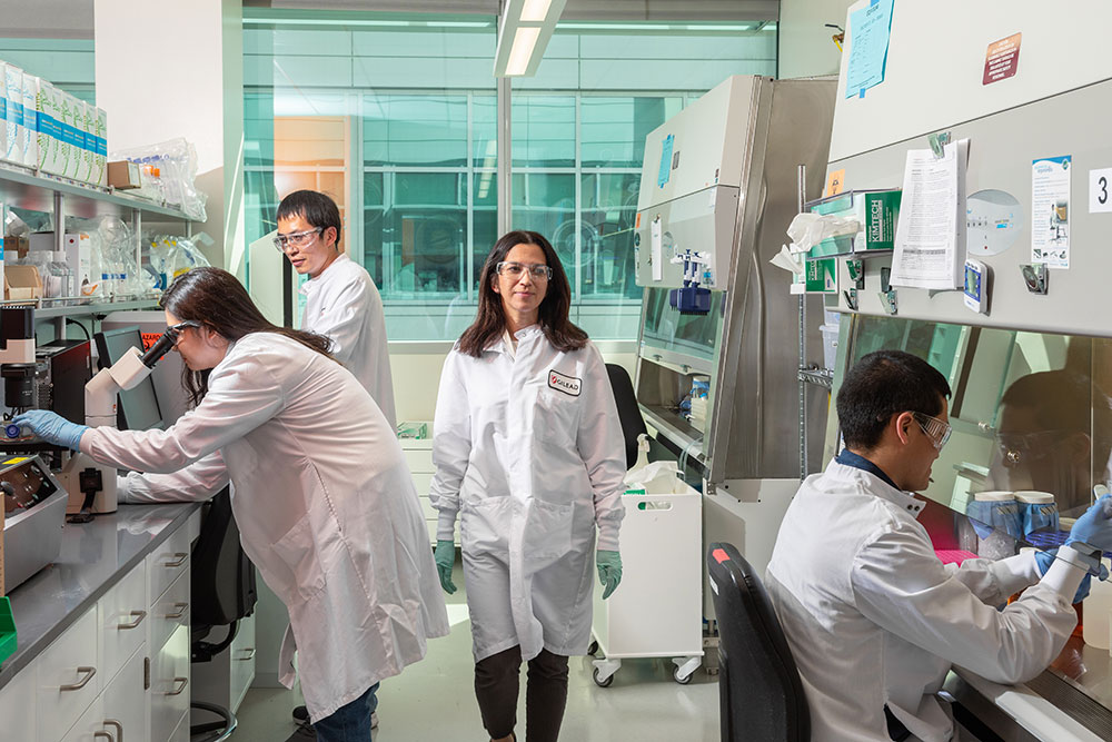 Employees on a Foster City lab