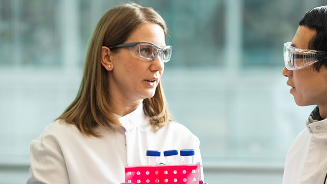 A scientist working at her desk