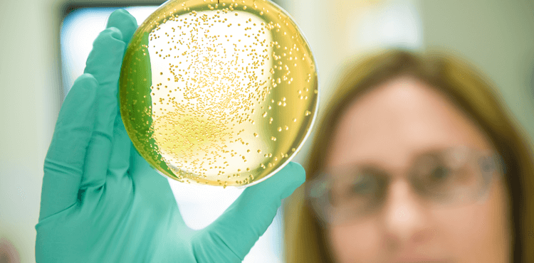 A scientist inspecting a clear, yellow testing product